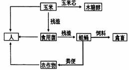 食物鏈加環(huán)技術(shù)在生態(tài)工程中的應用與效益分析